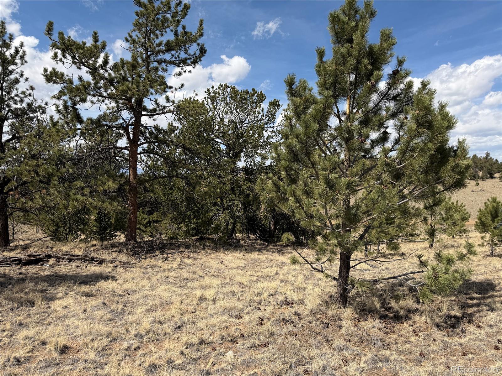 2839 Fitzsimmons Road Hartsel CO 80449