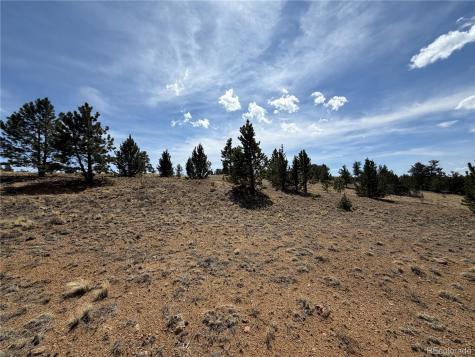 2839 Fitzsimmons Road Hartsel CO 80449