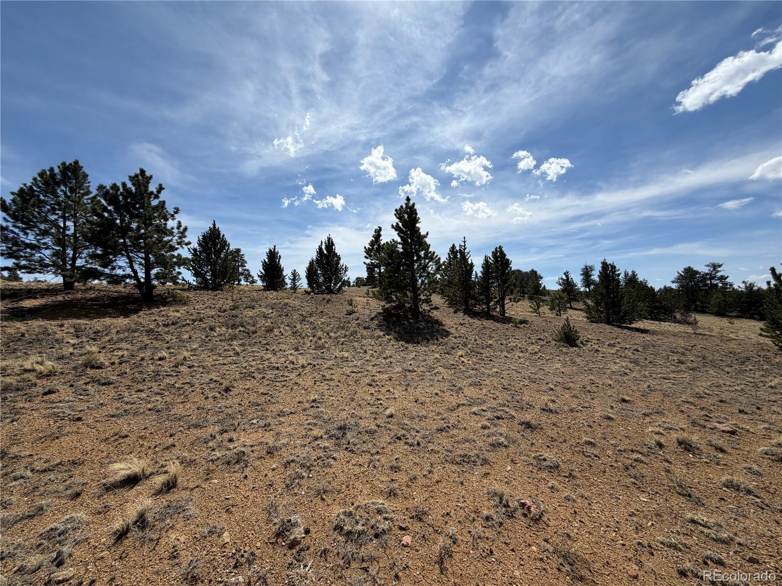 2839 Fitzsimmons Road Hartsel CO 80449