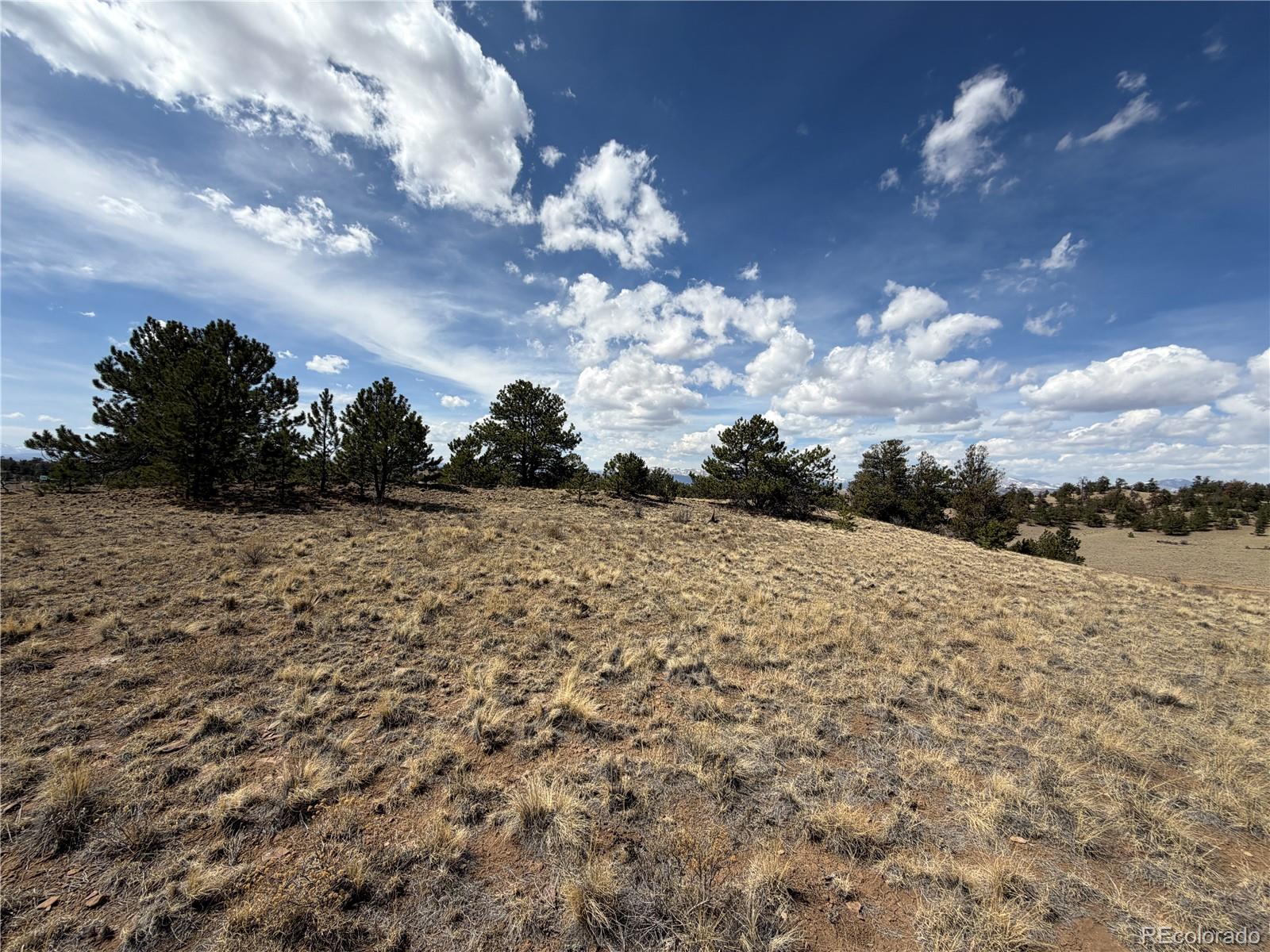 2839 Fitzsimmons Road Hartsel CO 80449