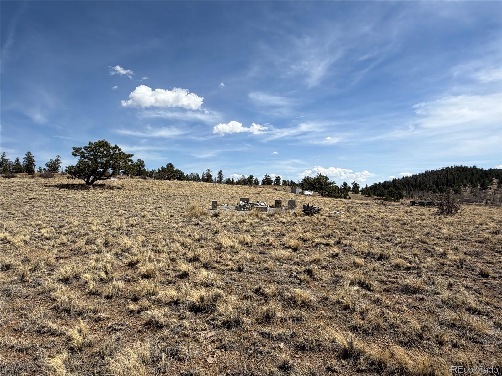 2839 Fitzsimmons Road Hartsel CO 80449
