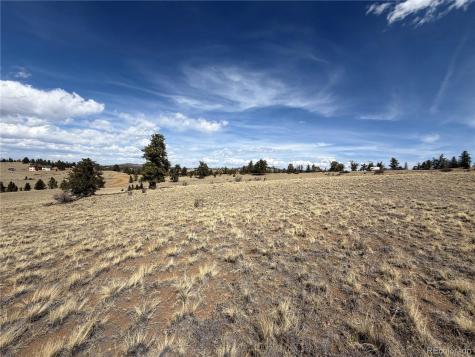 2839 Fitzsimmons Road Hartsel CO 80449