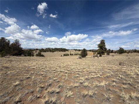 2839 Fitzsimmons Road Hartsel CO 80449