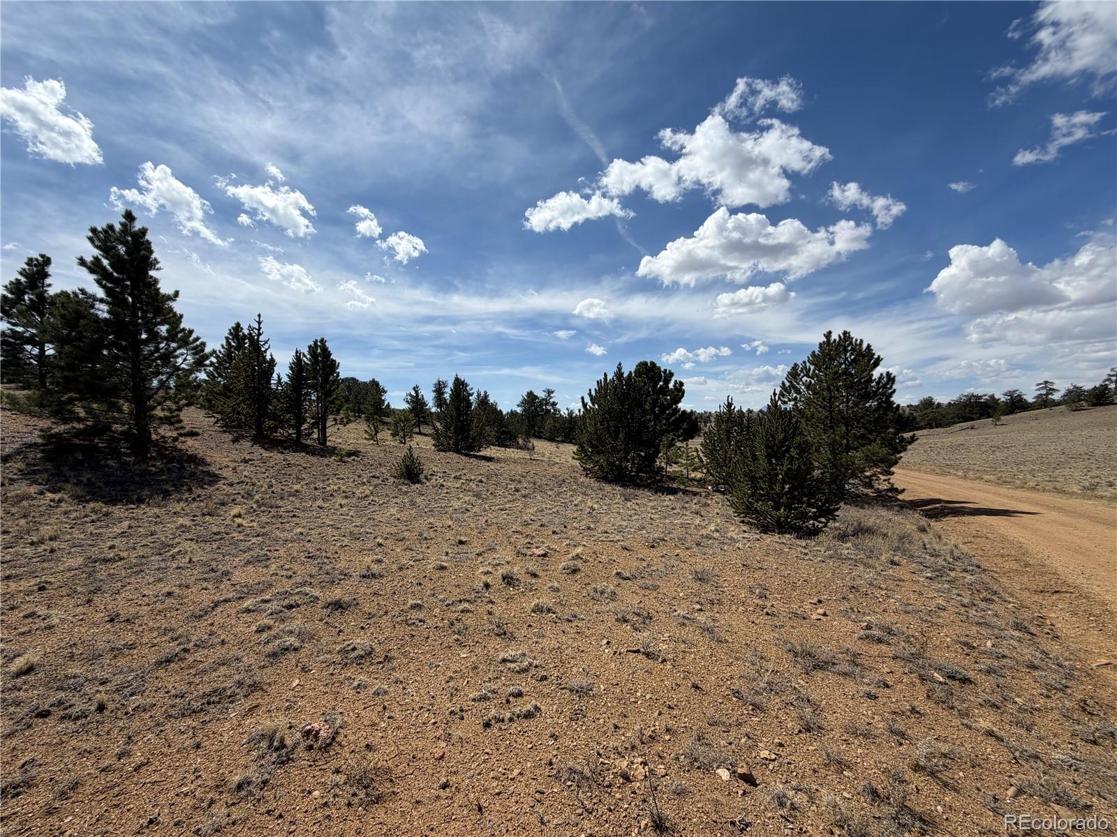 2839 Fitzsimmons Road Hartsel CO 80449