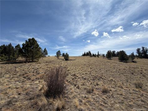 2839 Fitzsimmons Road Hartsel CO 80449