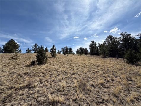 2839 Fitzsimmons Road Hartsel CO 80449