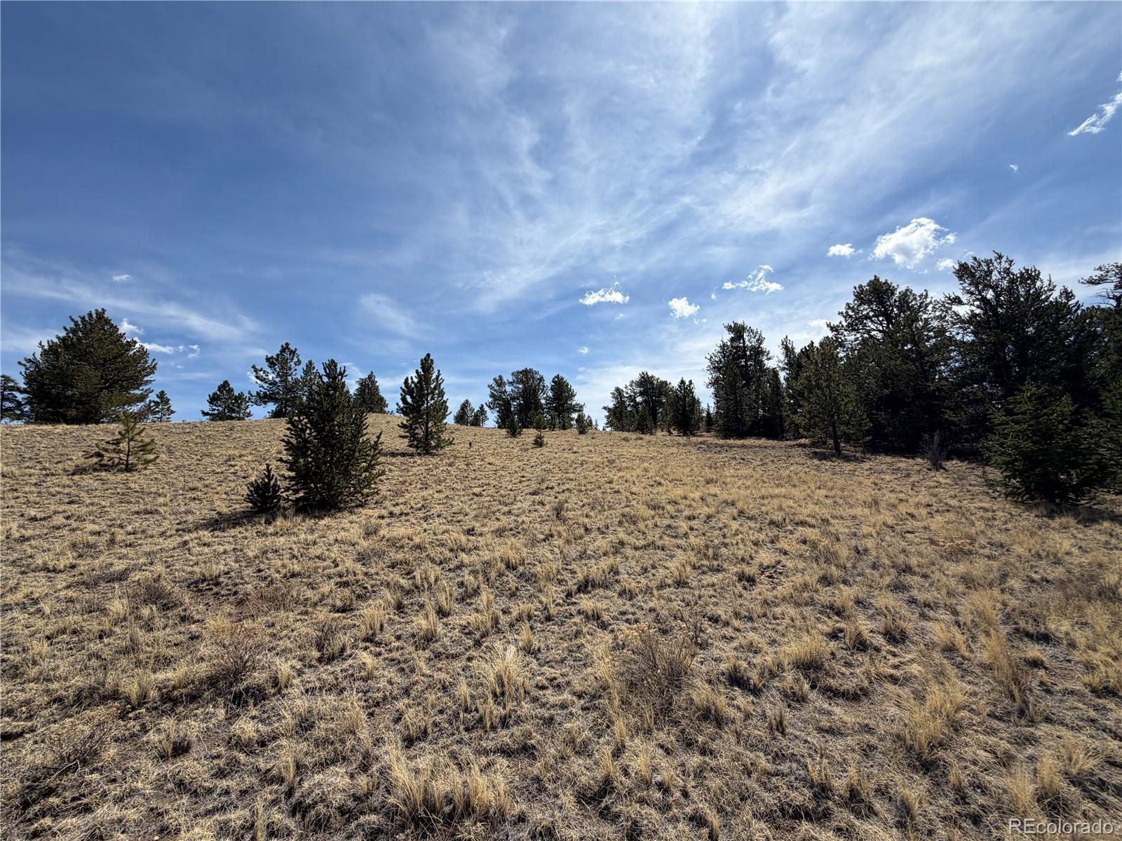2839 Fitzsimmons Road Hartsel CO 80449