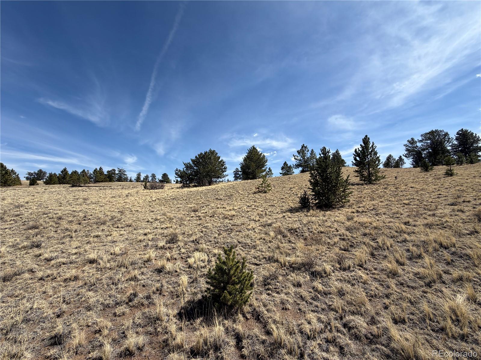 2839 Fitzsimmons Road Hartsel CO 80449