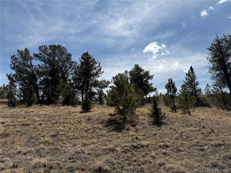 2839 Fitzsimmons Road Hartsel CO 80449