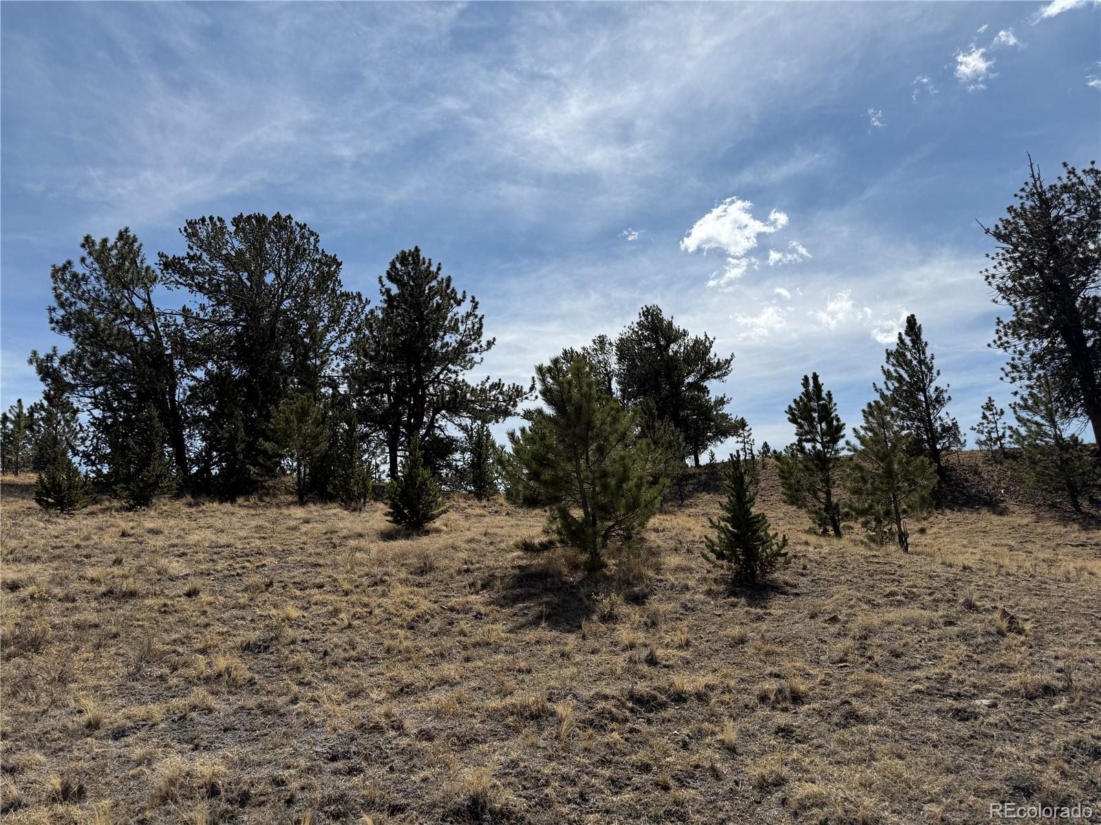 2839 Fitzsimmons Road Hartsel CO 80449