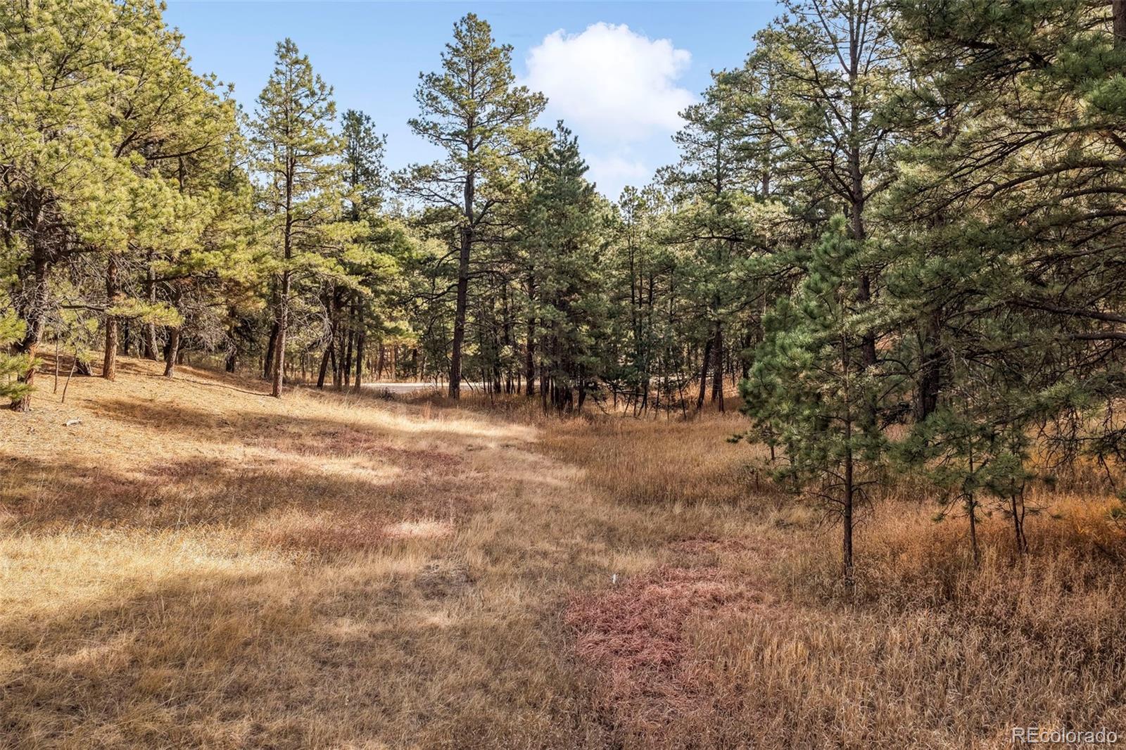 18230 Cumbres Court Peyton CO 80831