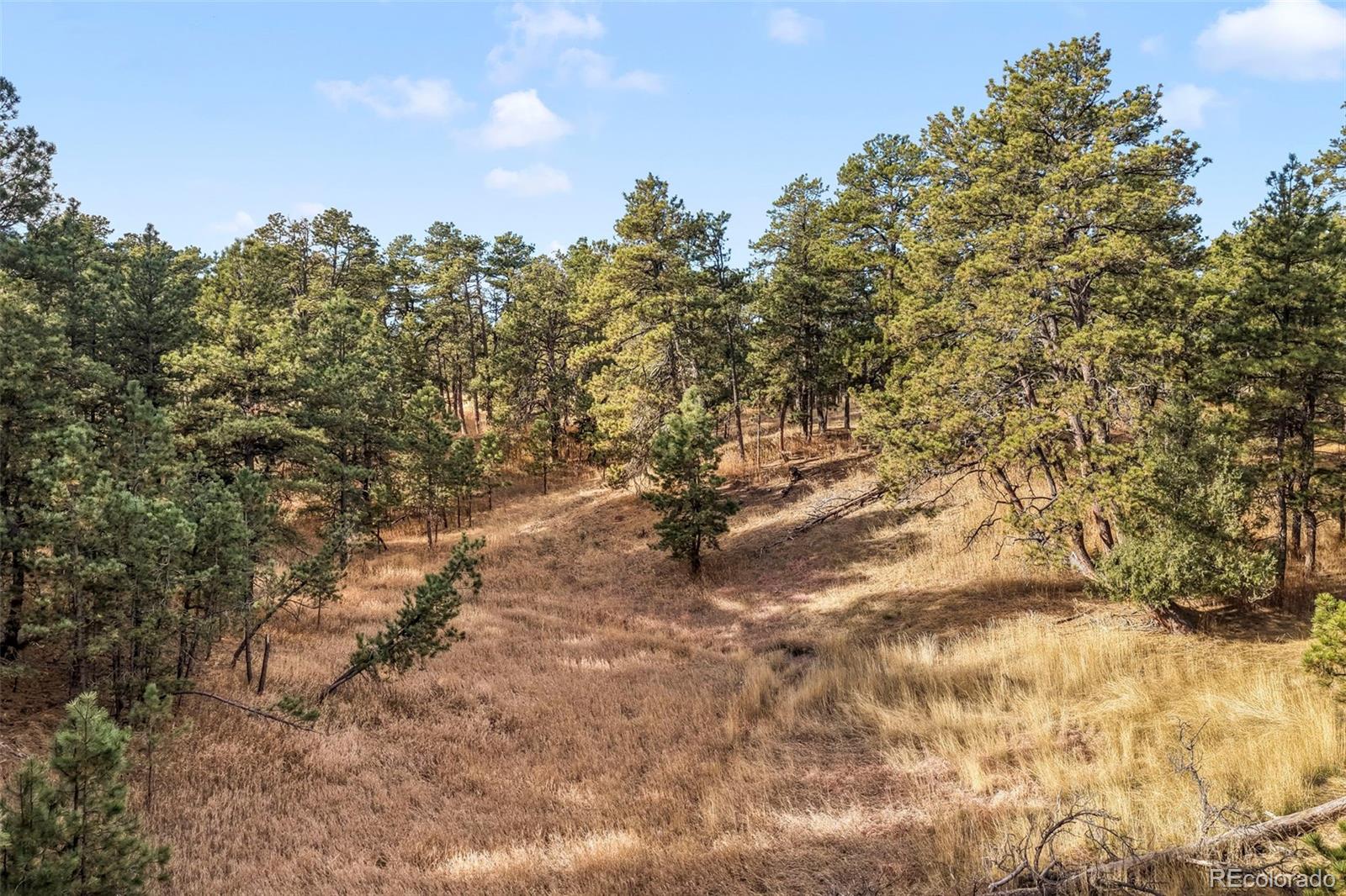18230 Cumbres Court Peyton CO 80831