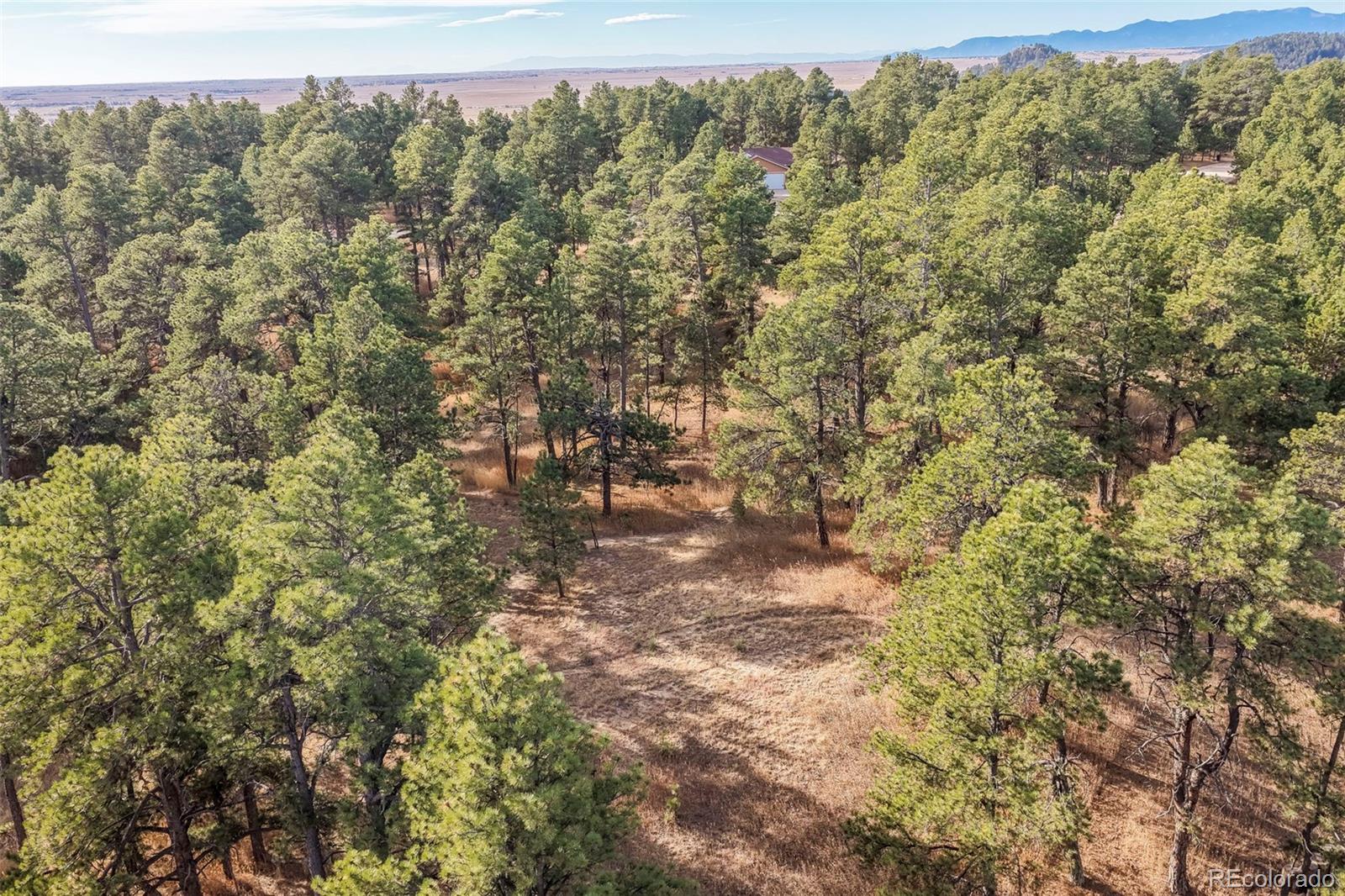 18230 Cumbres Court Peyton CO 80831