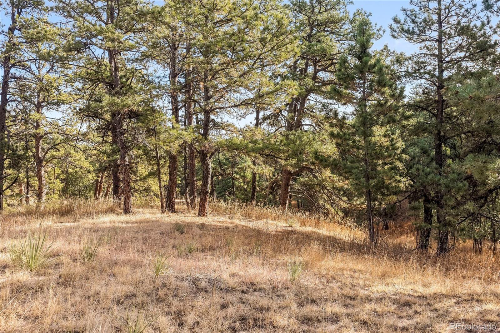 18230 Cumbres Court Peyton CO 80831