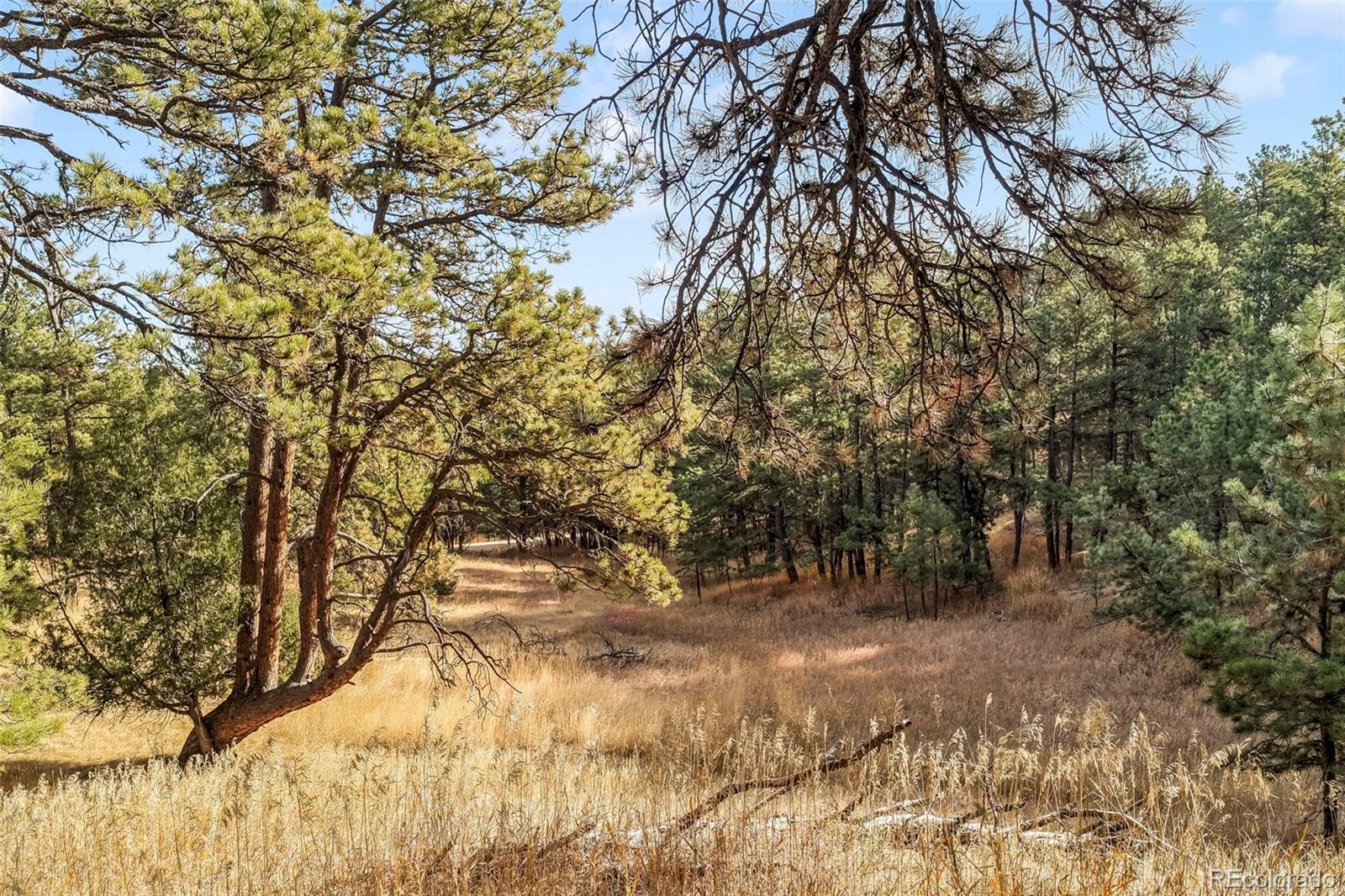 18230 Cumbres Court Peyton CO 80831