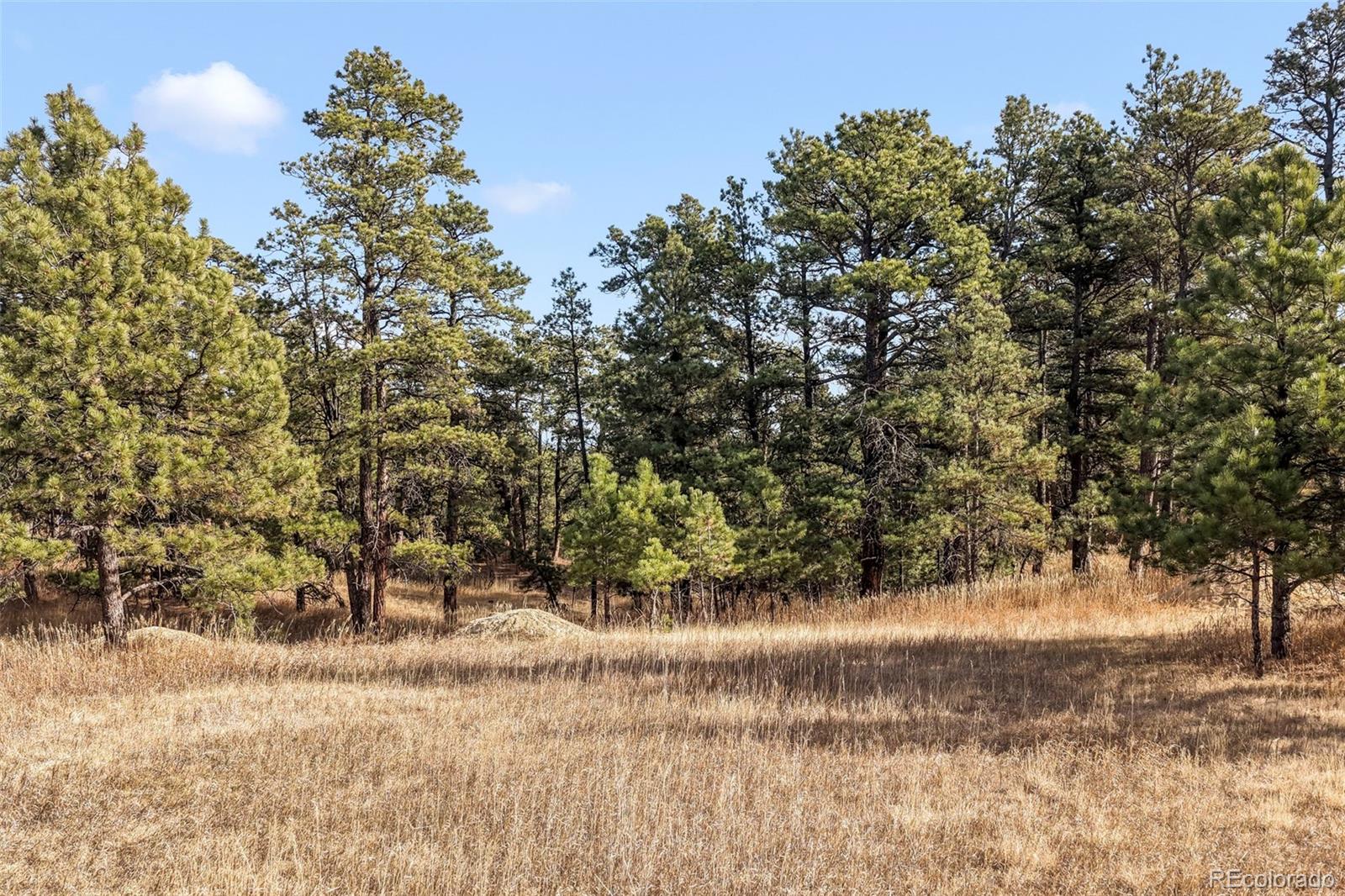 18230 Cumbres Court Peyton CO 80831