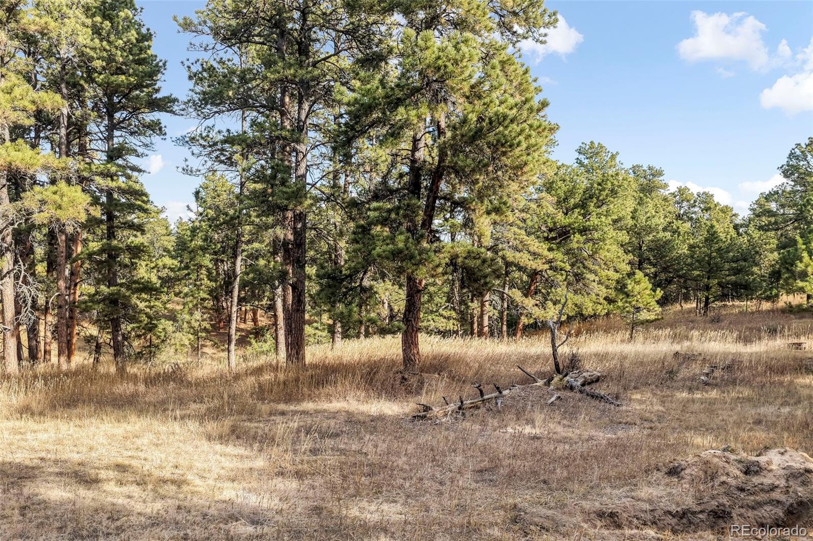18230 Cumbres Court Peyton CO 80831
