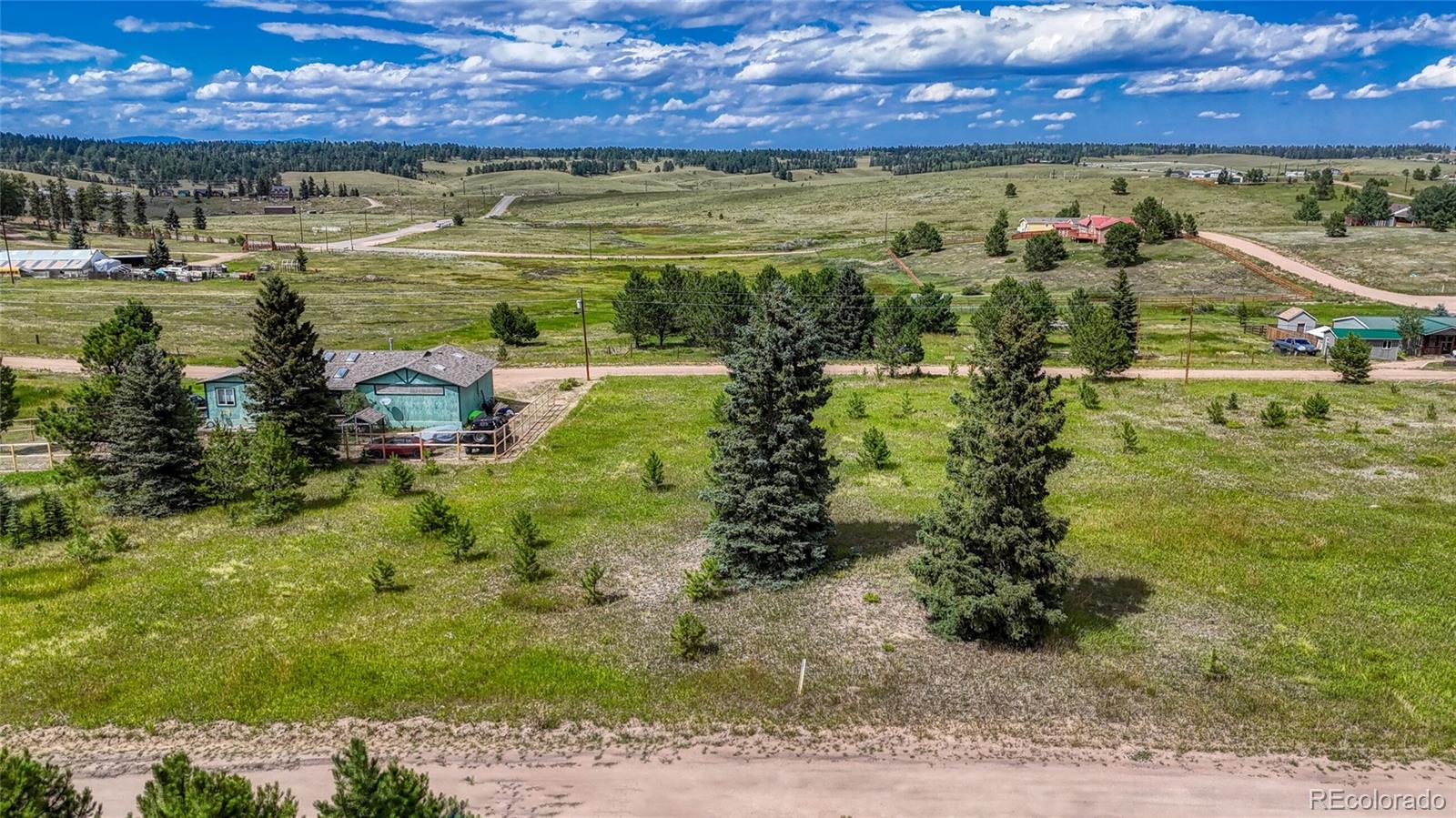 1129 Will Scarlet Drive Divide CO 80814