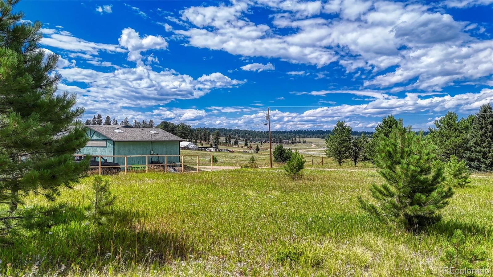 1129 Will Scarlet Drive Divide CO 80814