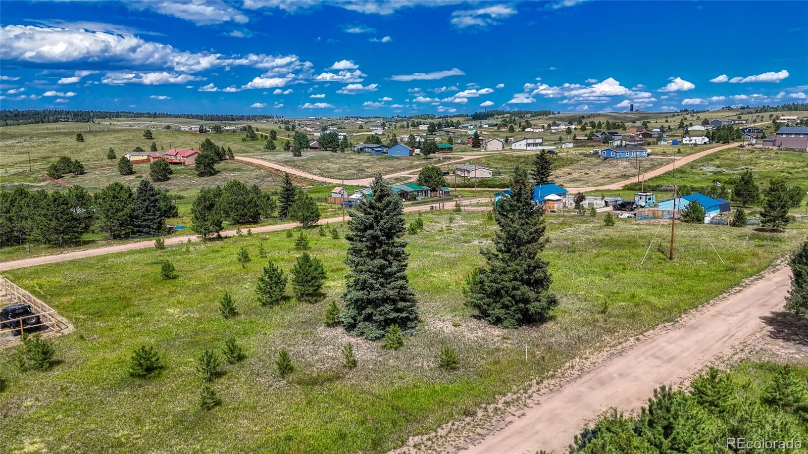1129 Will Scarlet Drive Divide CO 80814