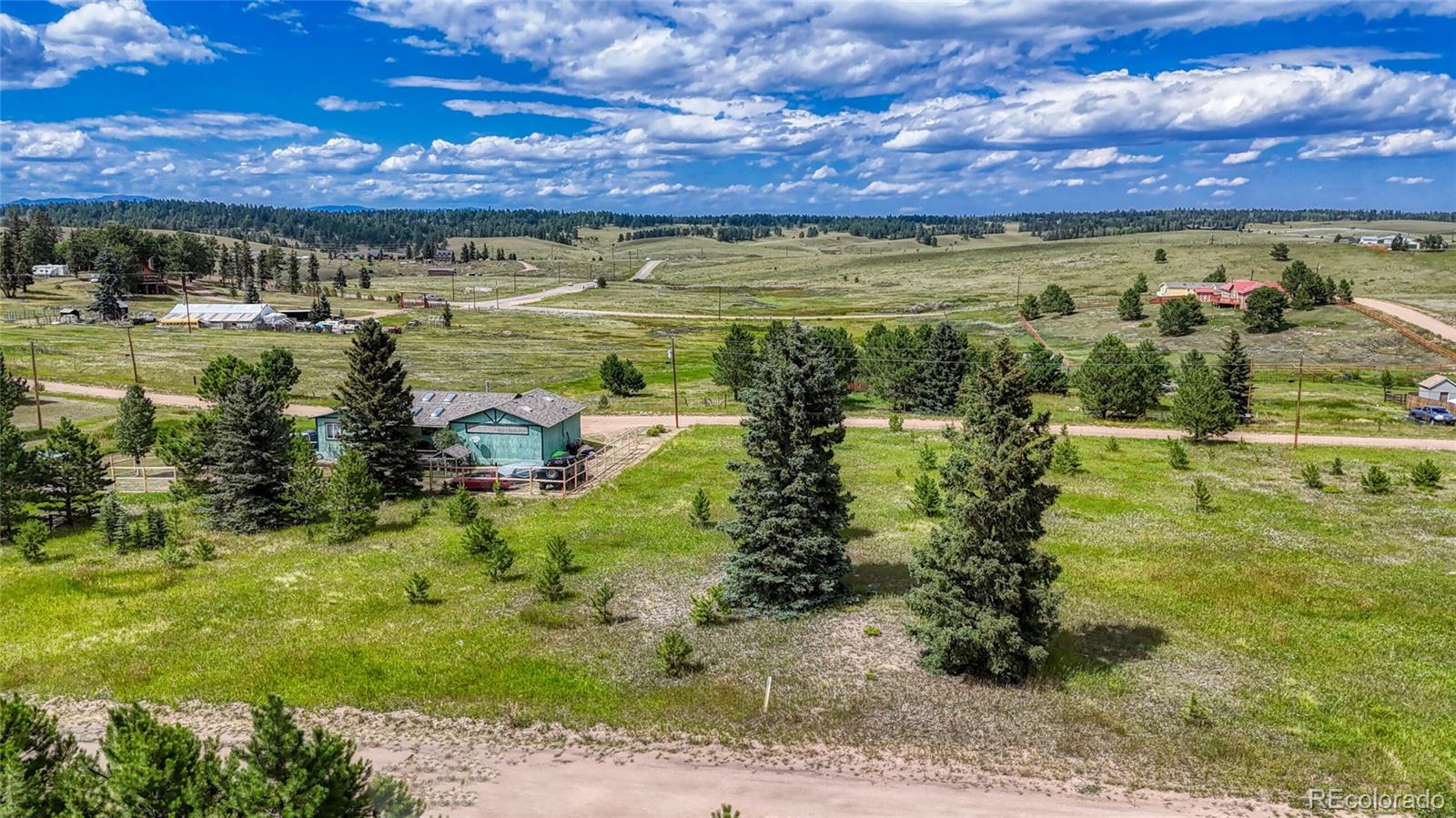 1129 Will Scarlet Drive Divide CO 80814