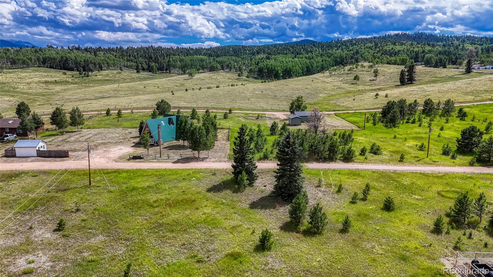 1129 Will Scarlet Drive Divide CO 80814