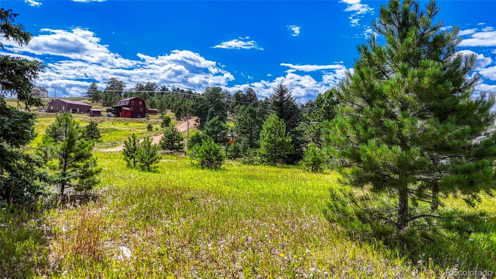 1129 Will Scarlet Drive Divide CO 80814
