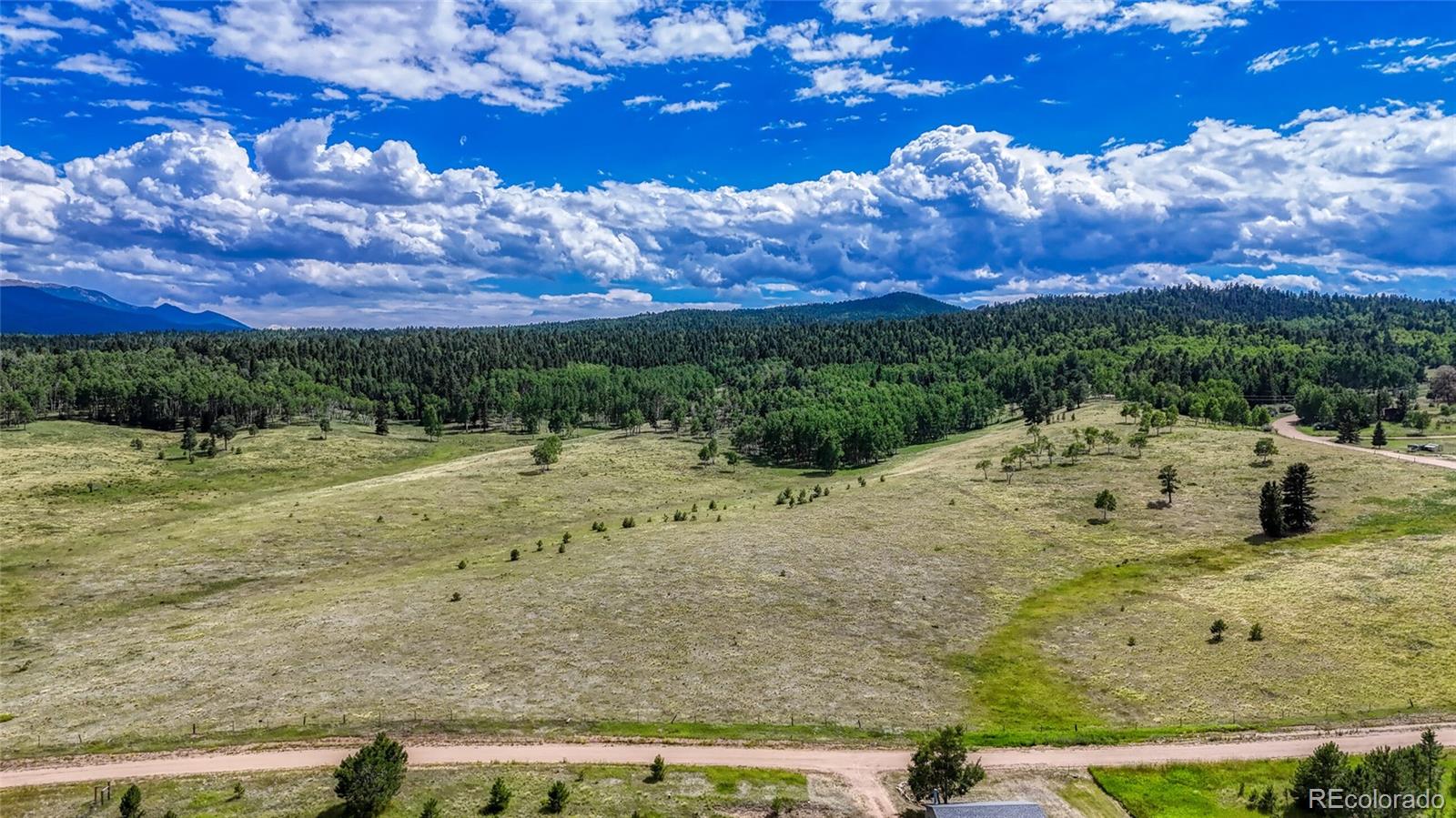 1129 Will Scarlet Drive Divide CO 80814