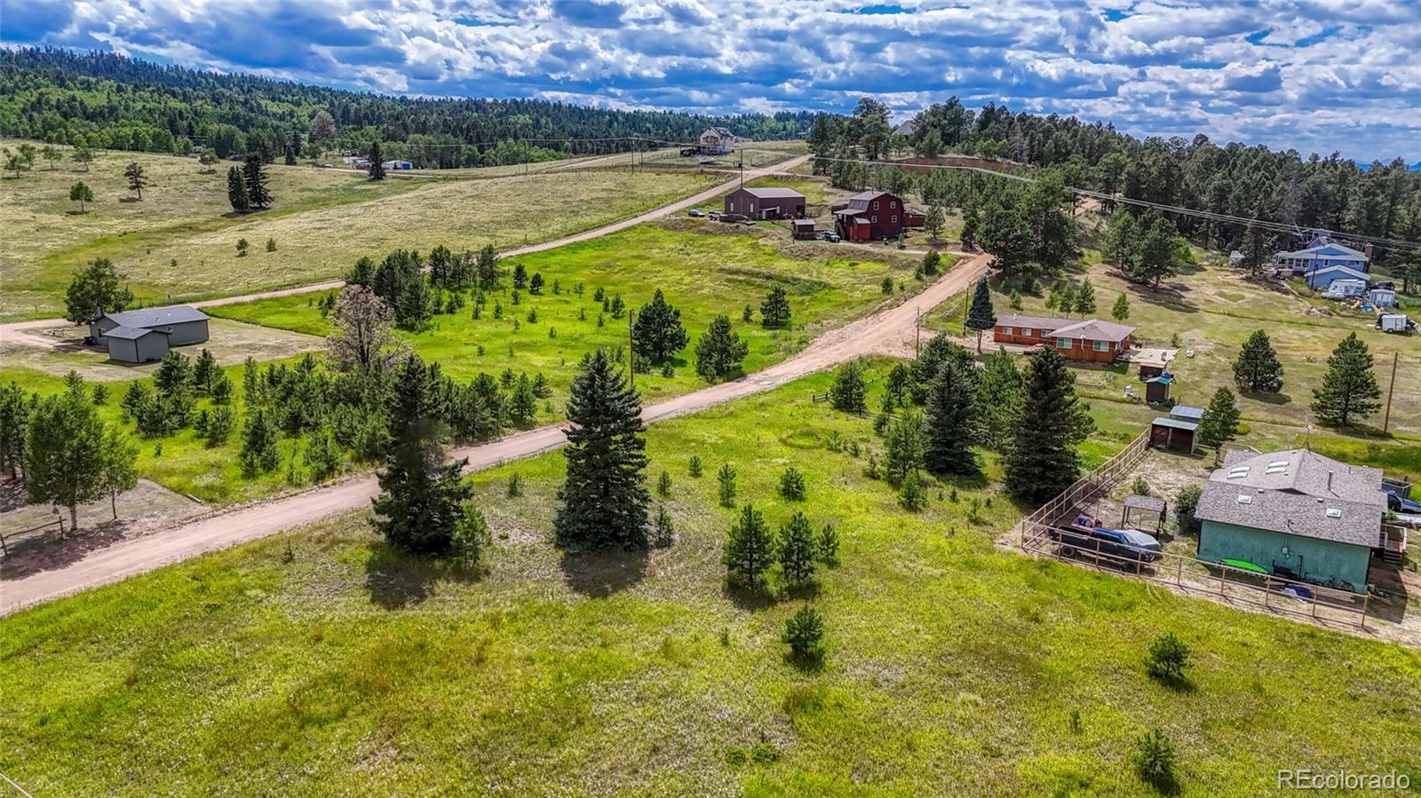 1129 Will Scarlet Drive Divide CO 80814