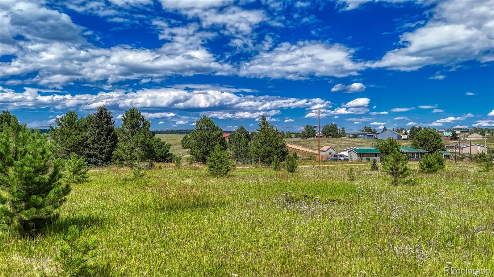 1129 Will Scarlet Drive Divide CO 80814