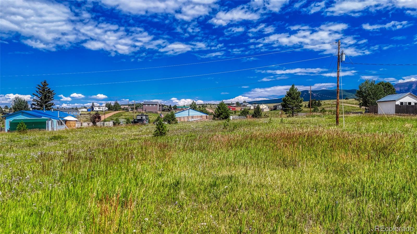 1129 Will Scarlet Drive Divide CO 80814