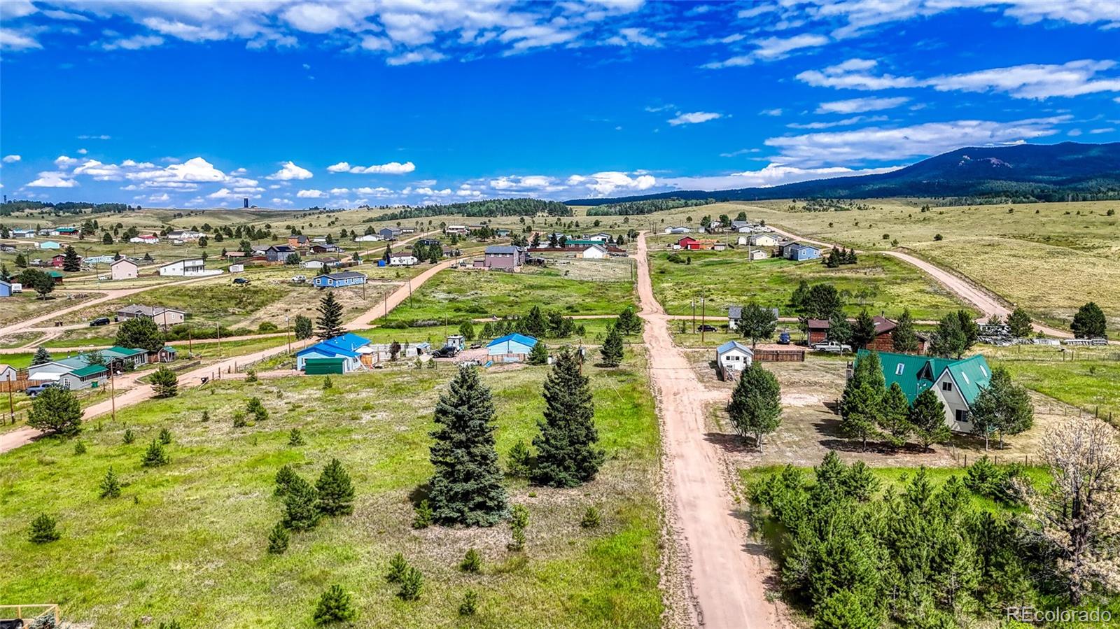 1129 Will Scarlet Drive Divide CO 80814