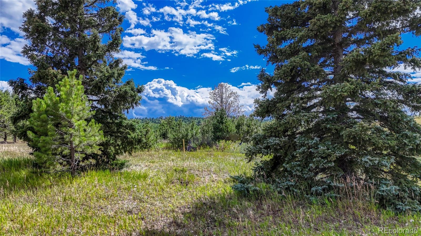 1129 Will Scarlet Drive Divide CO 80814