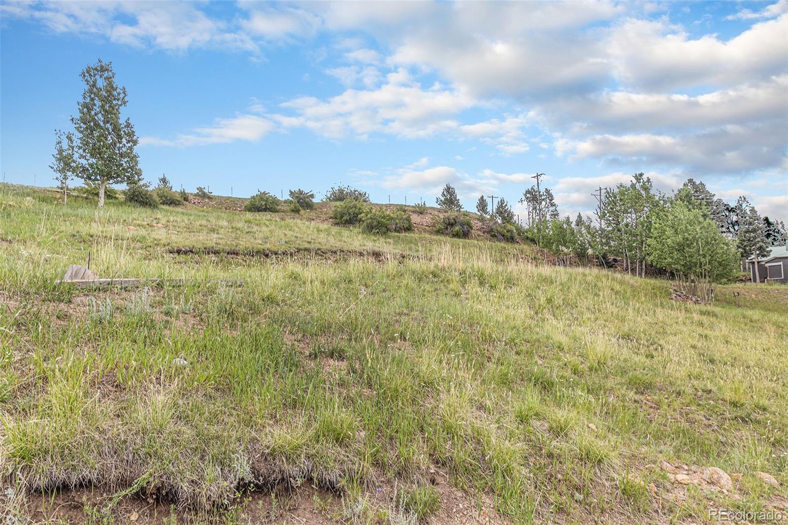 159 Hayden Street Cripple Creek CO 80813
