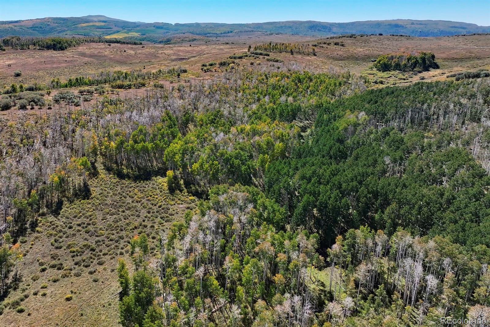 000 Divide Road Whitewater CO 81527