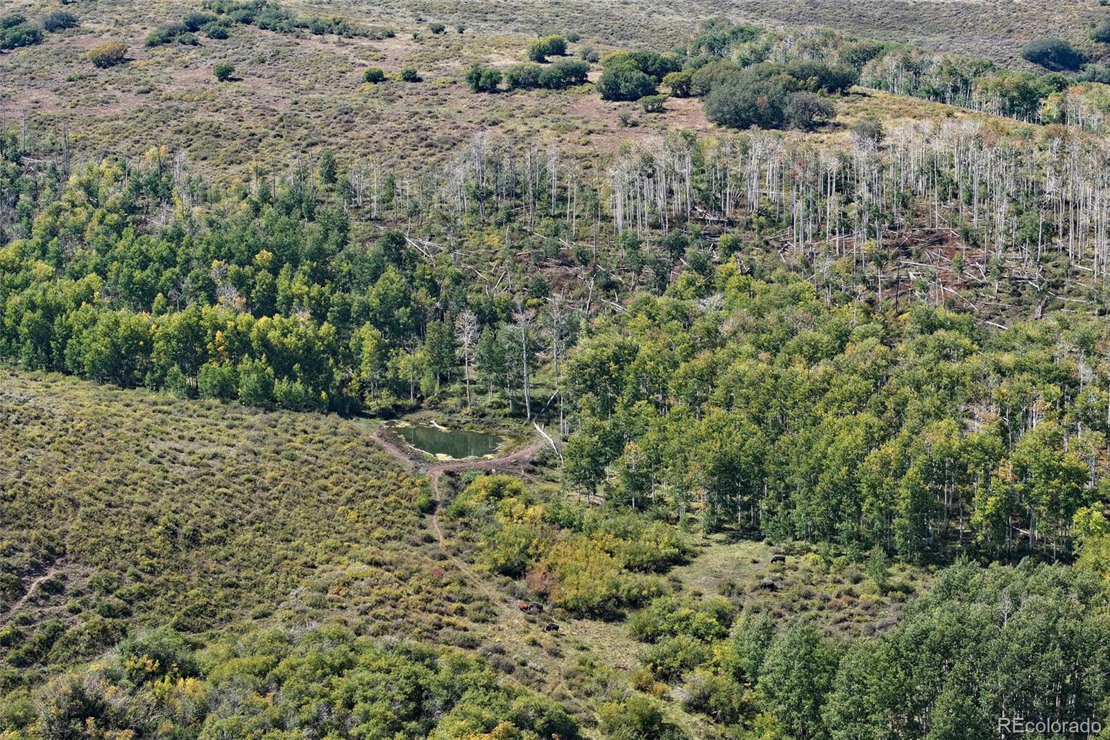 000 Divide Road Whitewater CO 81527