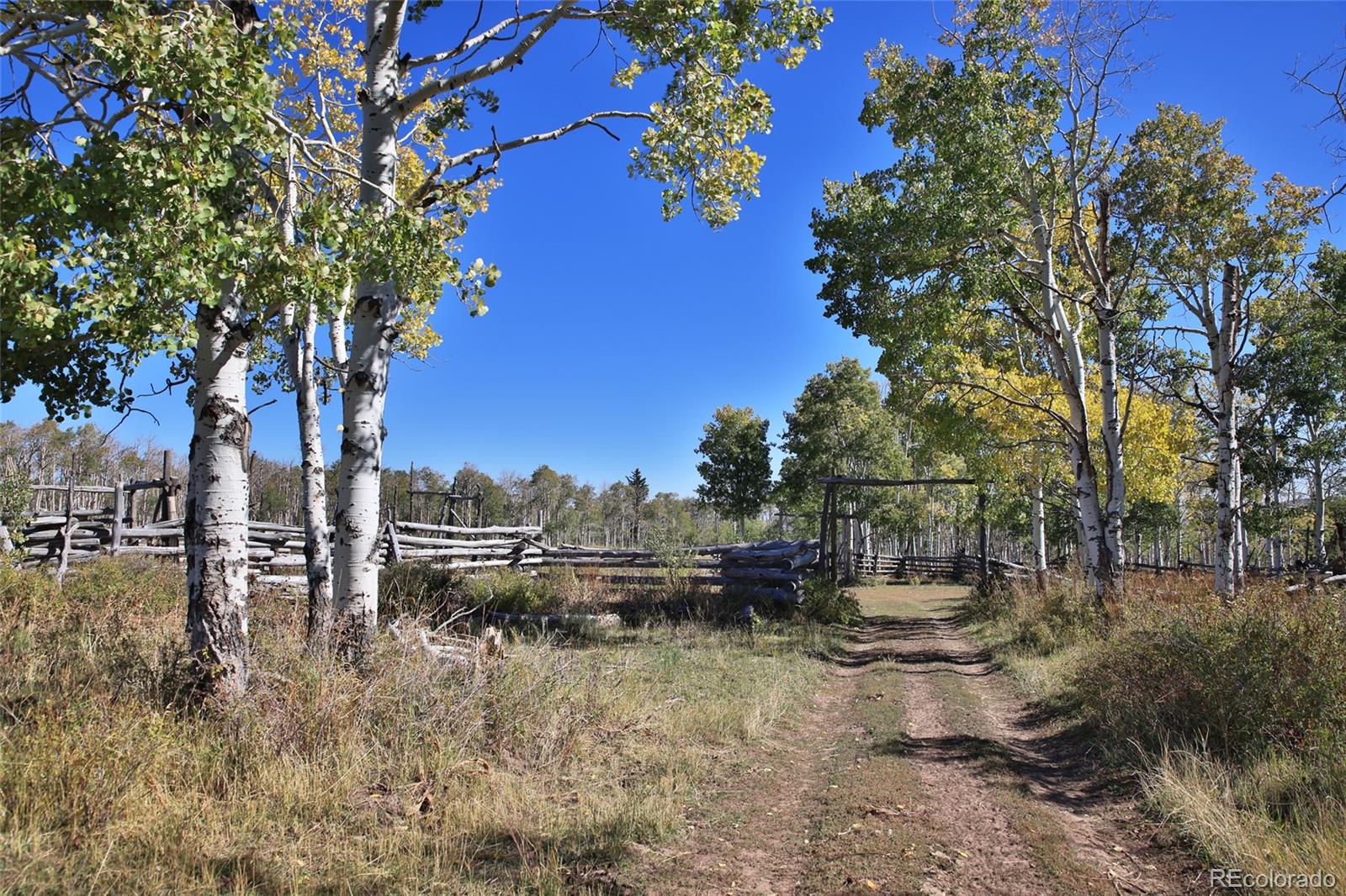 000 Divide Road Whitewater CO 81527
