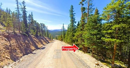 Lot 42 Mine Road Idaho Springs CO 80452