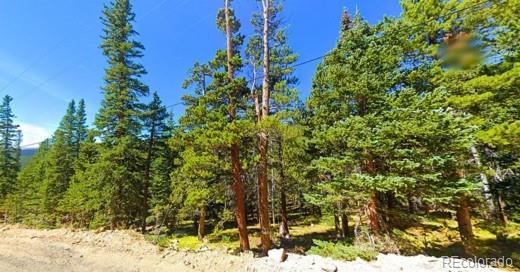Lot 42 Mine Road Idaho Springs CO 80452