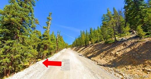 Lot 42 Mine Road Idaho Springs CO 80452