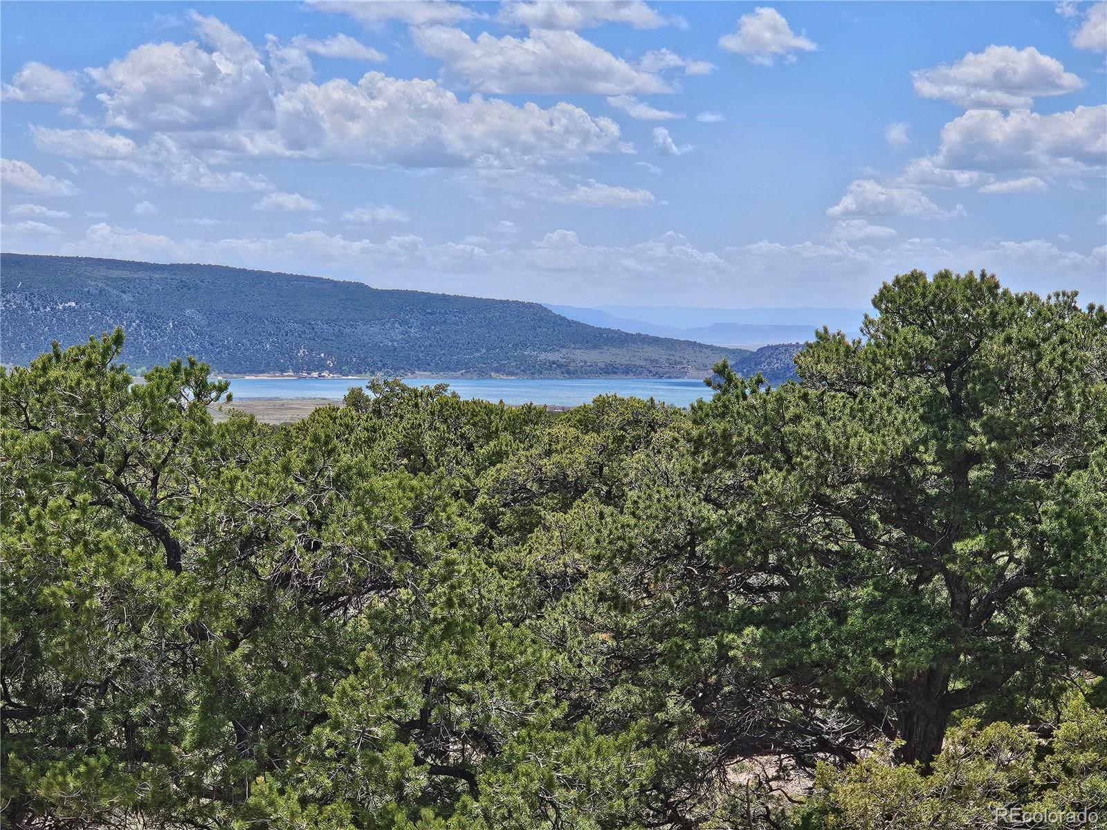 3953 Kruest Road Fort Garland CO 81133