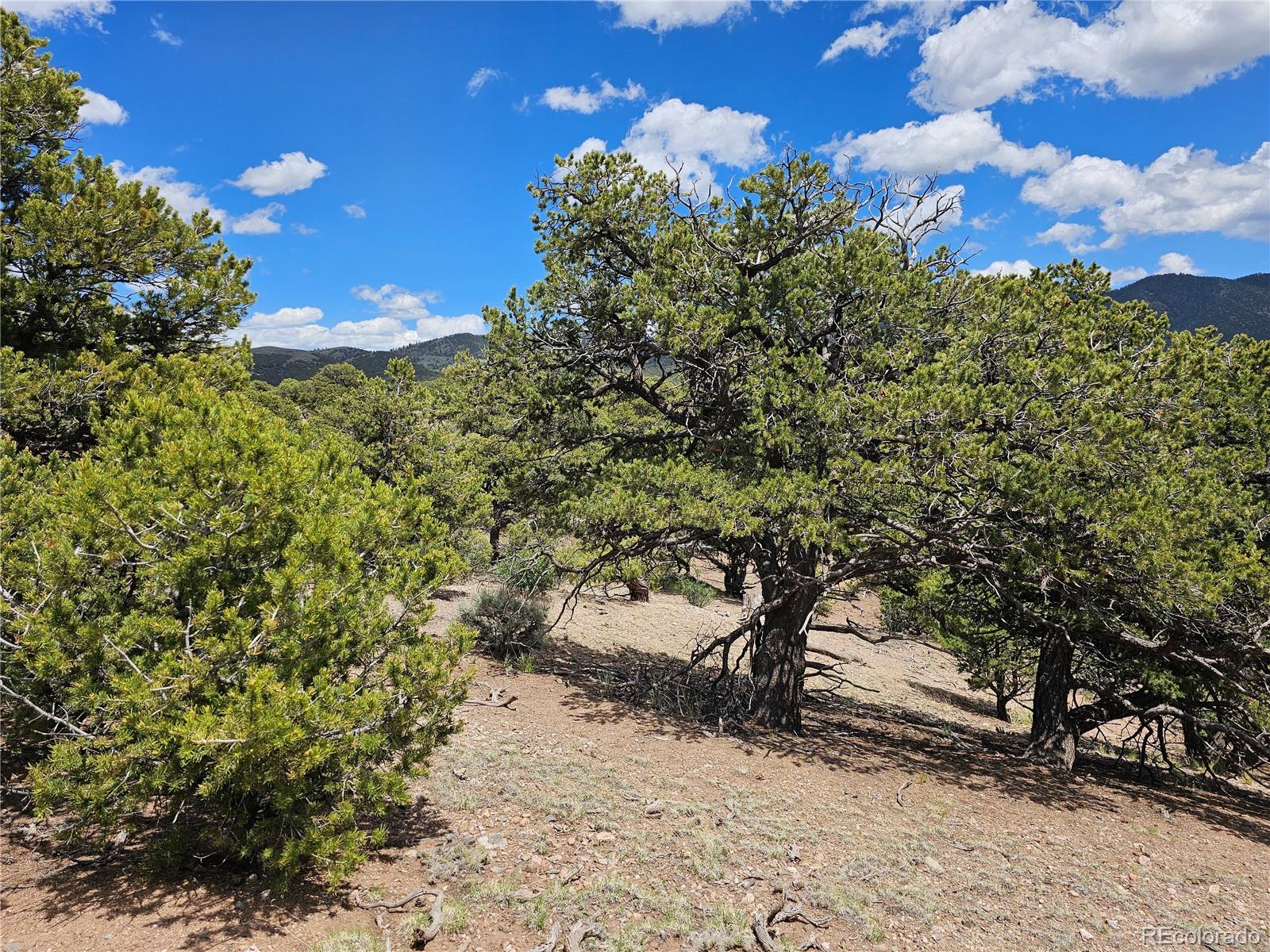 3953 Kruest Road Fort Garland CO 81133