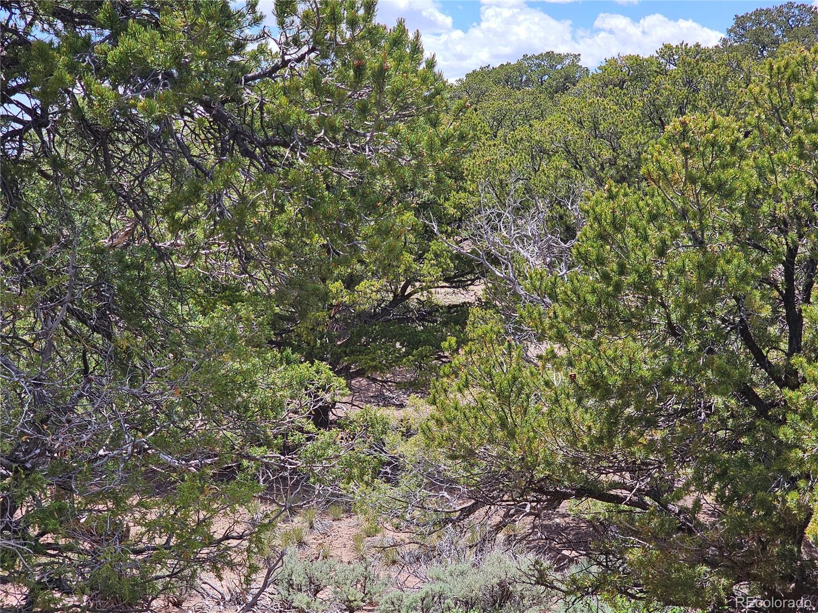 3953 Kruest Road Fort Garland CO 81133