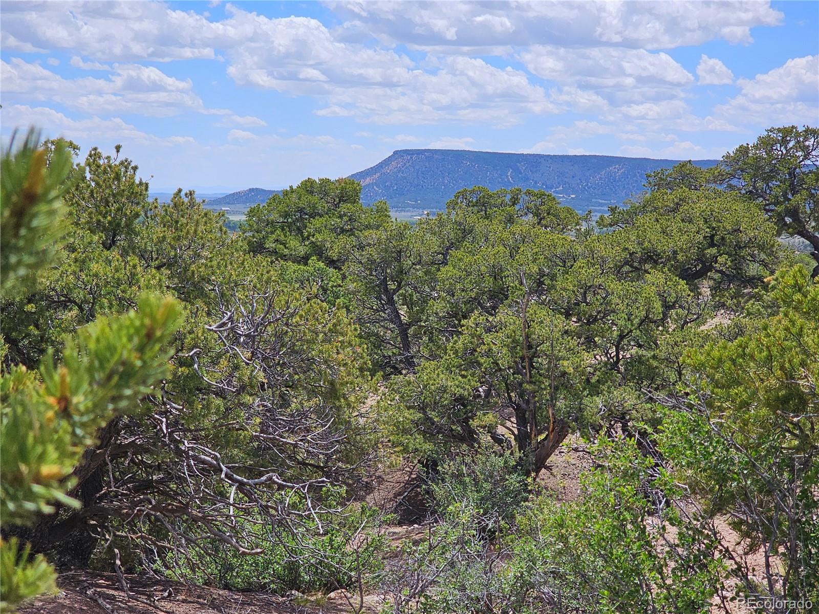 3953 Kruest Road Fort Garland CO 81133