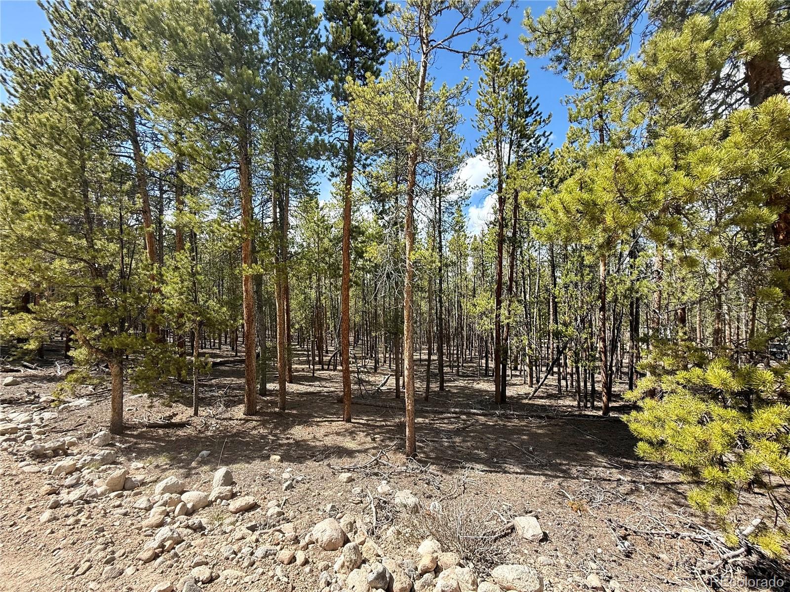 1127 Sequoia Drive Twin Lakes CO 80461