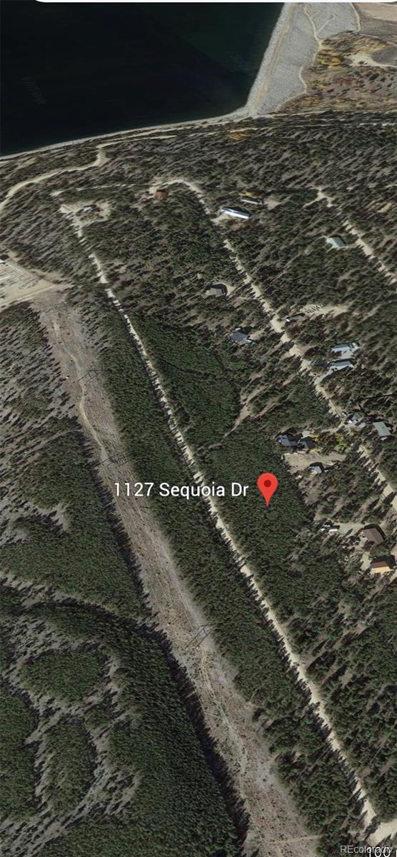 1127 Sequoia Drive Twin Lakes CO 80461