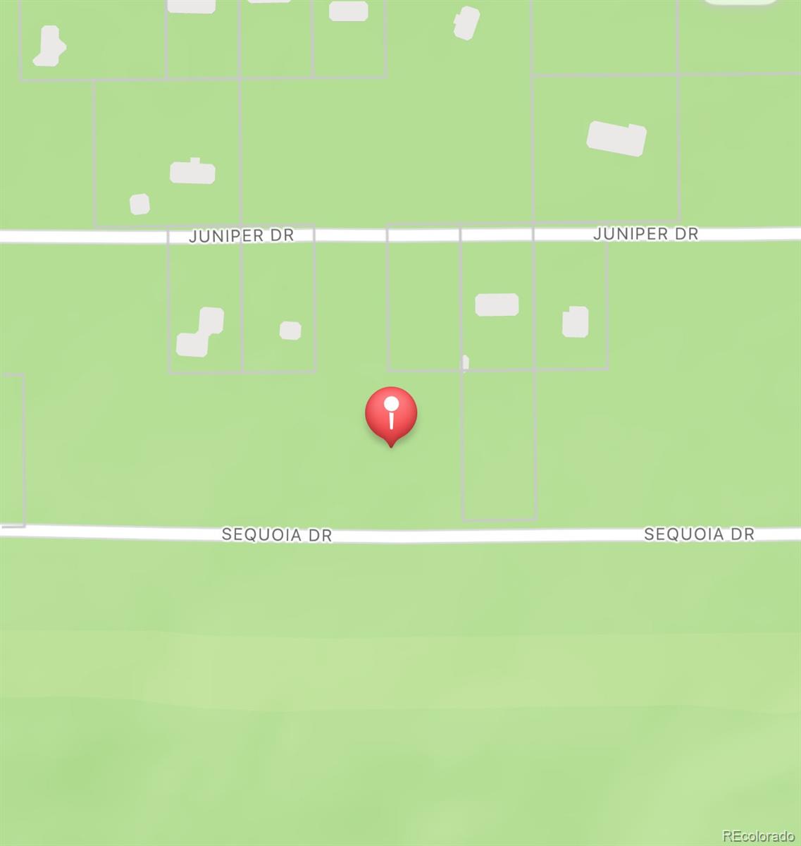 1127 Sequoia Drive Twin Lakes CO 80461