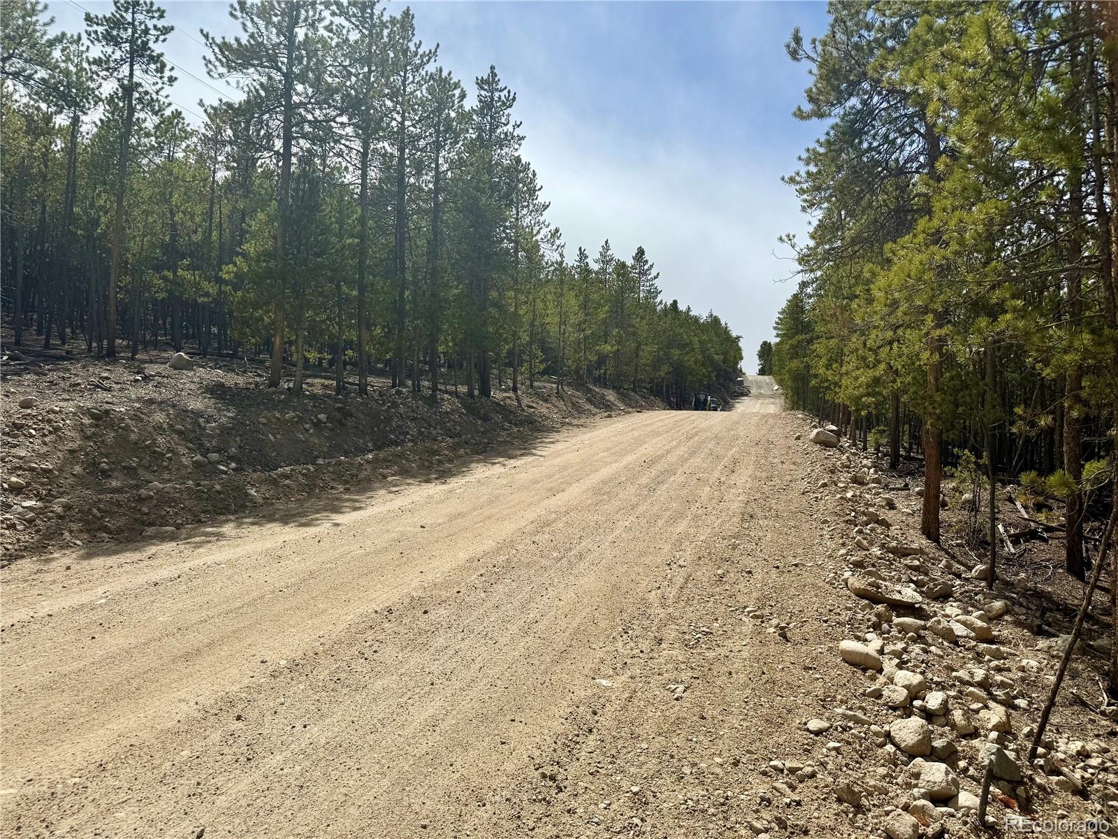 1127 Sequoia Drive Twin Lakes CO 80461