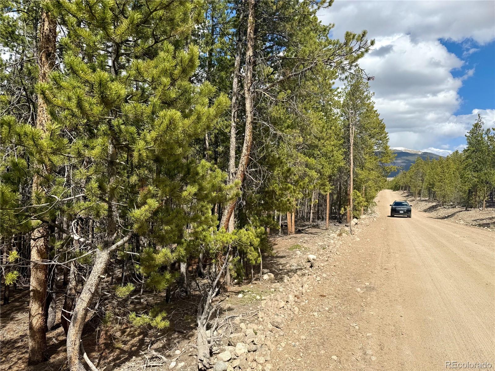 1127 Sequoia Drive Twin Lakes CO 80461