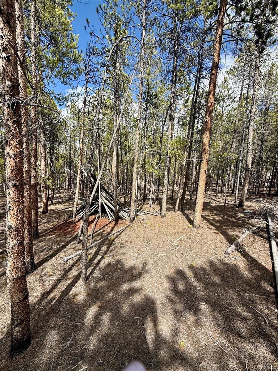 1127 Sequoia Drive Twin Lakes CO 80461
